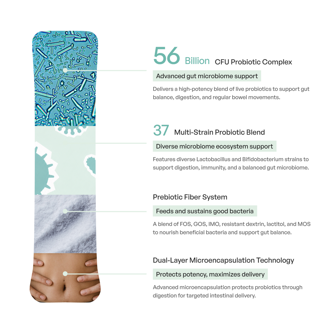 <p>Powered by 4-in-1 Synbiotic Complex</p>